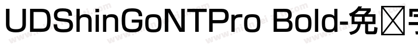 UDShinGoNTPro Bold字体转换